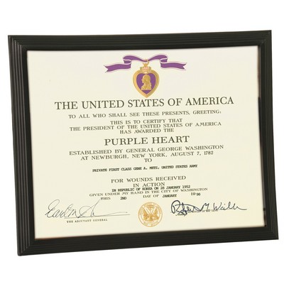 Step Edge Certificate Frame - Black with Glass Face Holds 8-1/2" x 11" Certificate