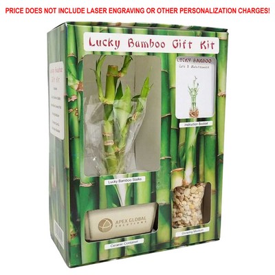 Lucky Bamboo Gift Kit