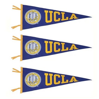 12 x 5.10 Small Pennant Flag