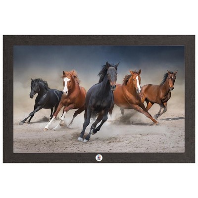 Wild Horses Running Free