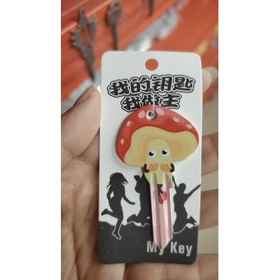 Blank Colored Keys