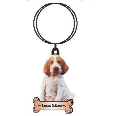 Bracco Italiano Dog Keychain w/Mirrored Back (12 Square Inch)