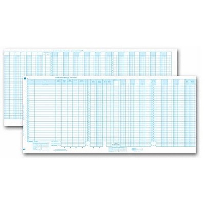Disbursement Journal - One-Write® Accounts Payable