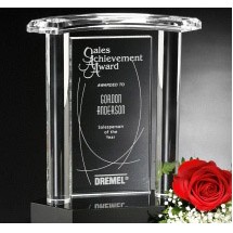 Vanessa Award 9"