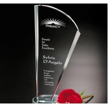 Merit Award 10-1/4"