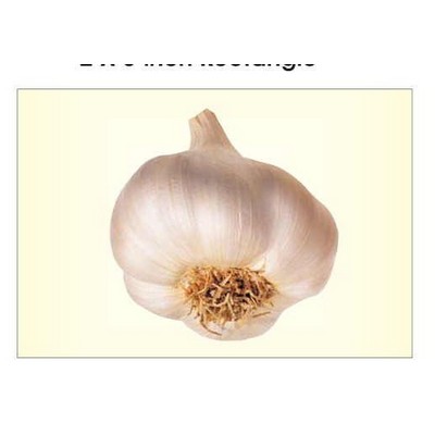 Garlic Rectangle Badge w/ Bar Pin (2"x3")
