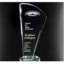 Merit Award 9-1/2"