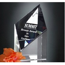 Trinity Award 5"