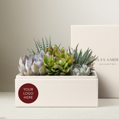 Urban Garden