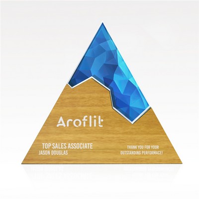 Triangle Edge Puzzle Award - Medium