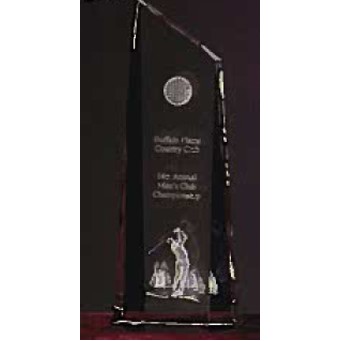 Custom Crystal Image in Glacier Pillar Award w/3D Logo/ Text (12")