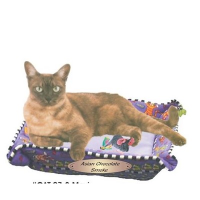 Asian Chocolate Smoke Cat Maxi Magnet (10 Square Inch)