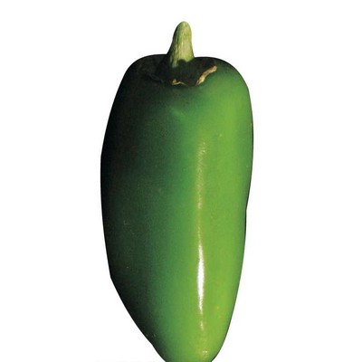 Jalapeno Maxi Magnet (3 Square Inch)