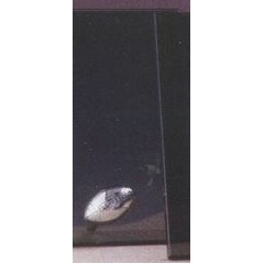 Silver Football Smoked Glass Award w/Silver Plastic Plaque Mounts (7"x9.5")