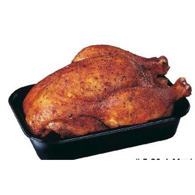 Chicken Maxi Magnet (8 Square Inch)