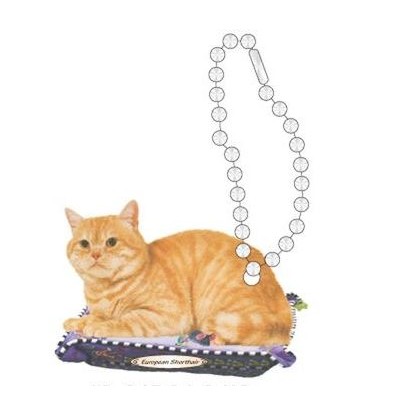 European Shorthair Cat Promotional Key Chain w/ Black Back (12 Square Inch)