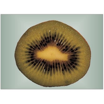 Kiwi Rectangle Badge w/ Bar Pin (2"x3")