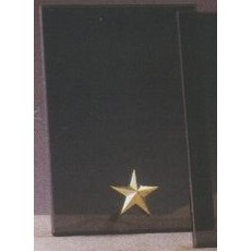 Gold Star Smoked Glass Award w/Gold Plastic Plaque Mounts (6"x8.5")