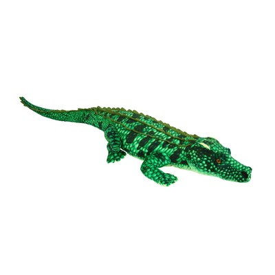 Greed Komodo Dragon