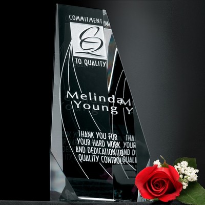 Wedgewood Award 6"