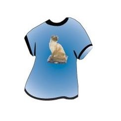 American Curl Cat T-Shirt Mighty Mini Magnet