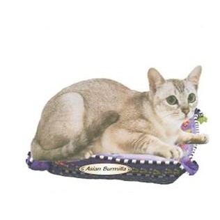 Asian Burmilla Cat Promotional Magnet w/ Strip Magnet (8 Square Inch)