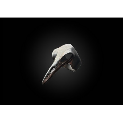 Bird Skull Ring