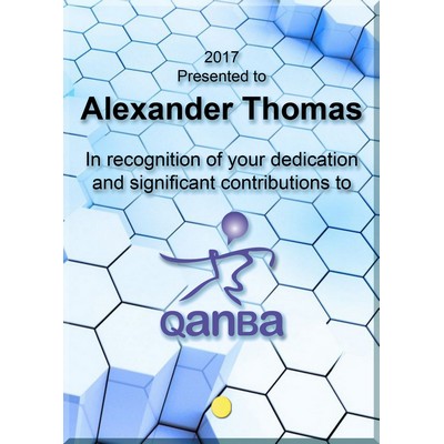 Vertical Rectangular Award with Pin (6"x8")