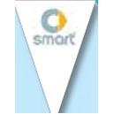 30' Dealer Identity Pennant String - Smart®