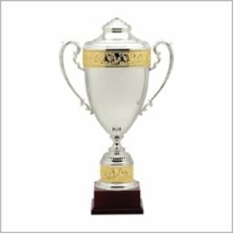 27" Estate Award Winner Trophy