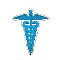 Caduceus Mighty Mini Magnet