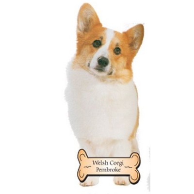 Welsh Corgi Dog Maxi Magnet (10 Square Inch)
