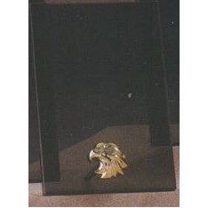 Gold Eagle Smoked Glass Award w/Gold Plastic Plaque Mounts (5"x7.5")