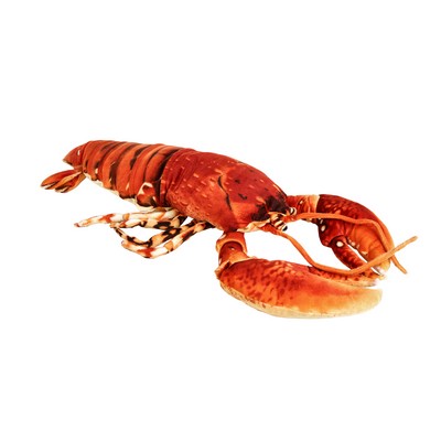 Orange/Red Lobster