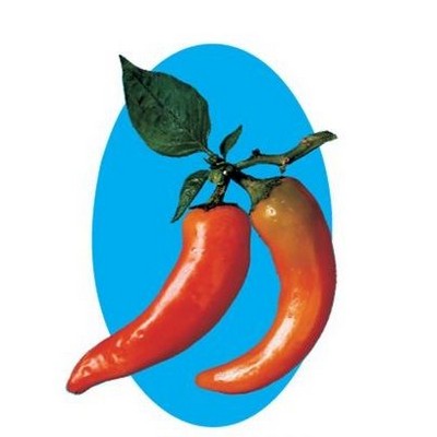Chili Pepper Promotional Magnet w/ Strip Magnet (6 Square Inch)