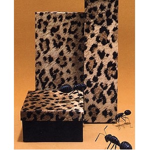 Leopard Print 2 Piece Fiber Filled Jewelry Box (3 1/2"x3 1/2"x7/8")