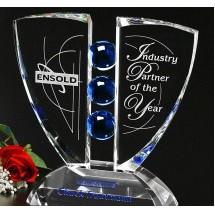 Pinion Indigo Award 10"