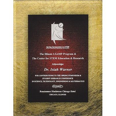 Acrylic Sienna/Gold Lustre Plaque Series w/Easel Back, Medium (7-3/4"x9-3/4")