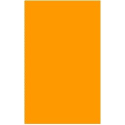 Fluorescent Orange Rectangle Labels - 3" x 5"