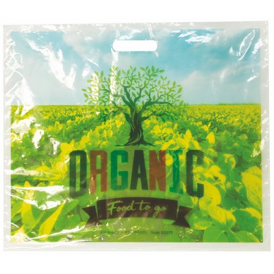 Digital Full Color 2-Sided Clear Plastic Bag (18" x 15")