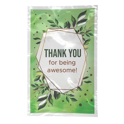 Digital Full Color 2-Sided Open Ended Clear Plastic Bag (6"x9")