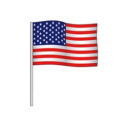 Supreme Cloth American Antenna Flag