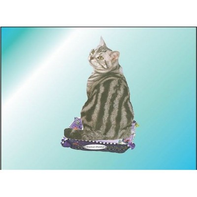 American Shorthair Cat Rectangle Badge w/ Bar Pin (2"x3")