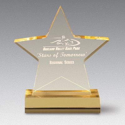 Star Award - Large (7"x7.75")