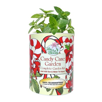 Candy Cane Garden in Eco-Friendly Grocan