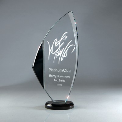 Black Crystal with Clear Glass