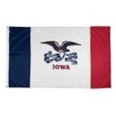 Iowa Indoor Parade Flag w/Pole Hem And Fringe (5'x8')