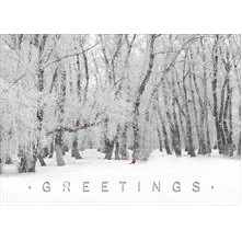 Winter's Visitors Greeting Card
