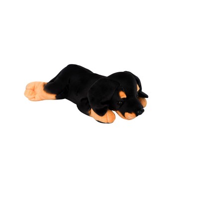 Laying Rottweiler