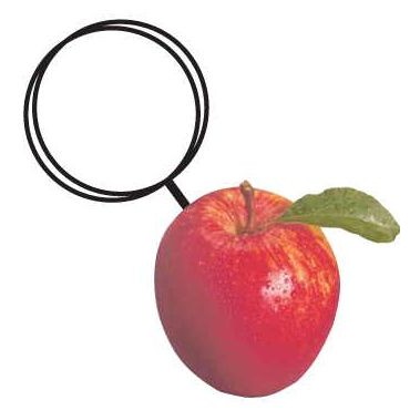 Apple Executive Key Chain w/Mirrored Back (6 Square Inch)